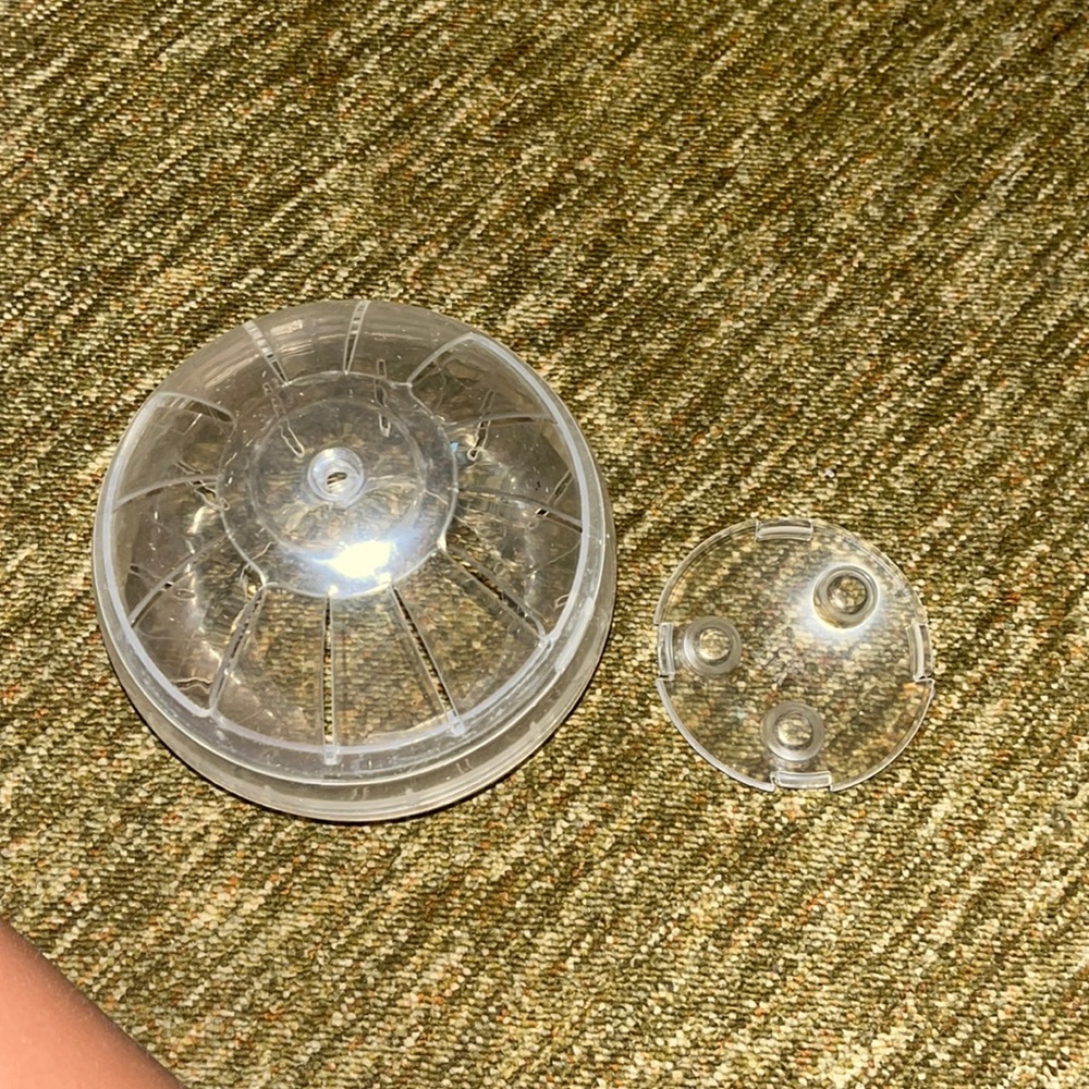 Hamster ball 🐹